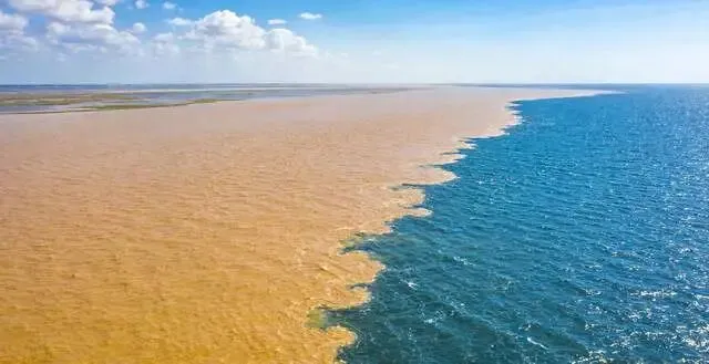 东营市文化旅游学校焕新出发,新名启新程,徽标映初心!