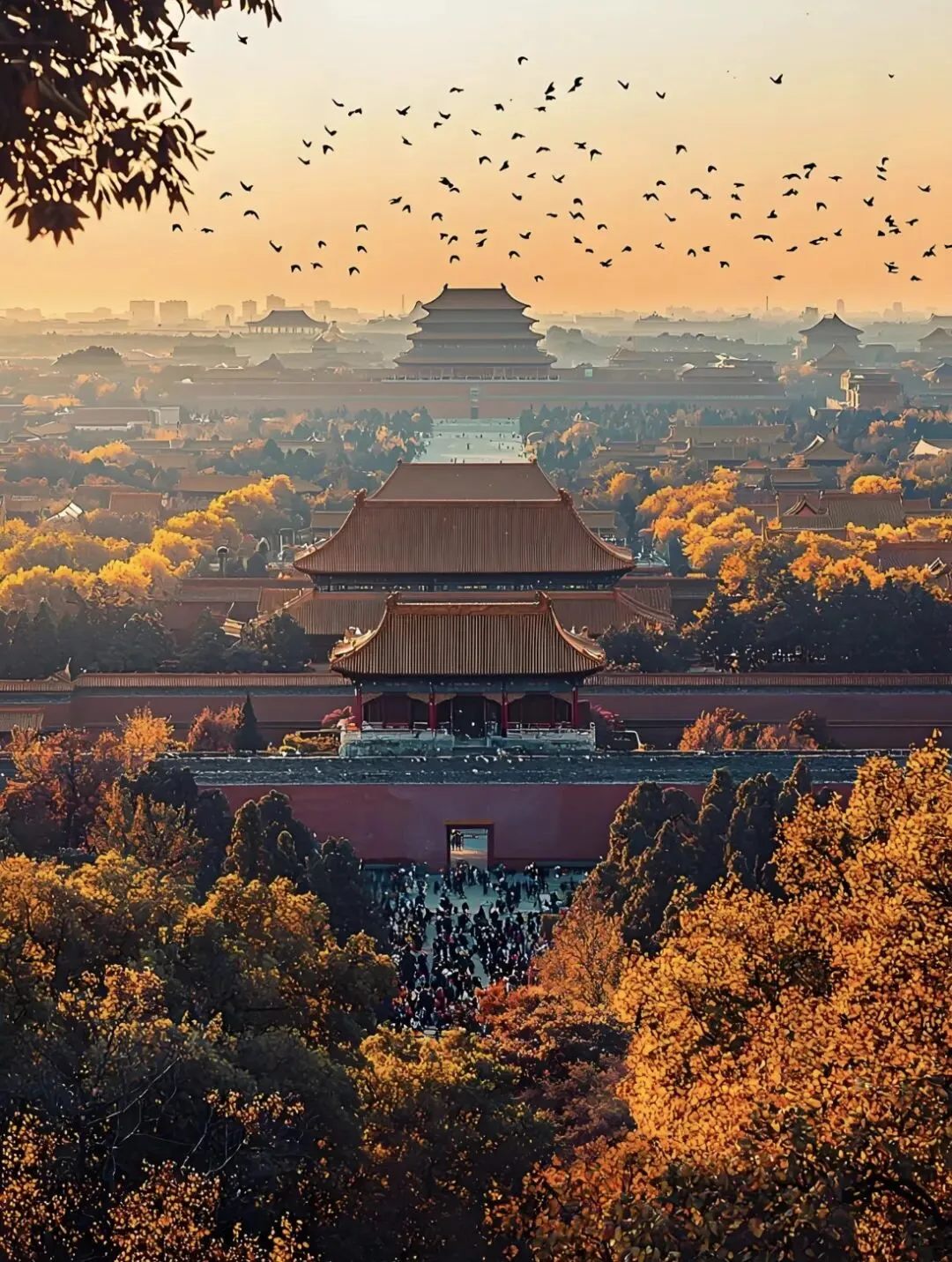 中国人一定要去的 6 个景点,不用打算,争取每年去一个!