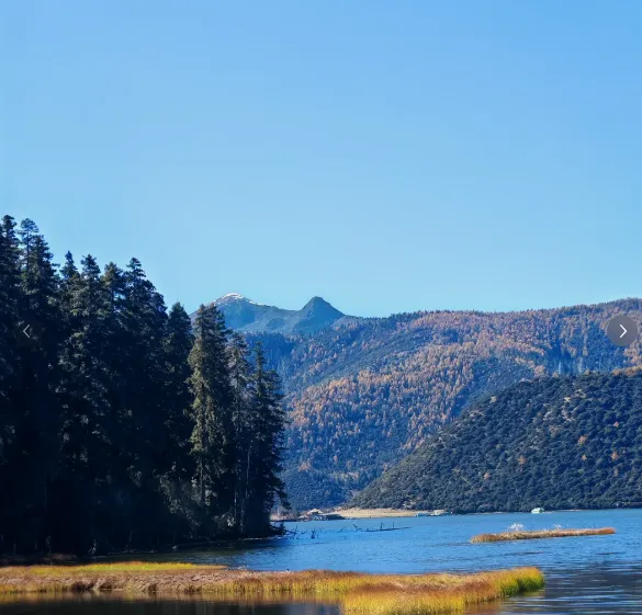 香格里拉普达措把全国景区的饭碗给砸了,来了才知道
