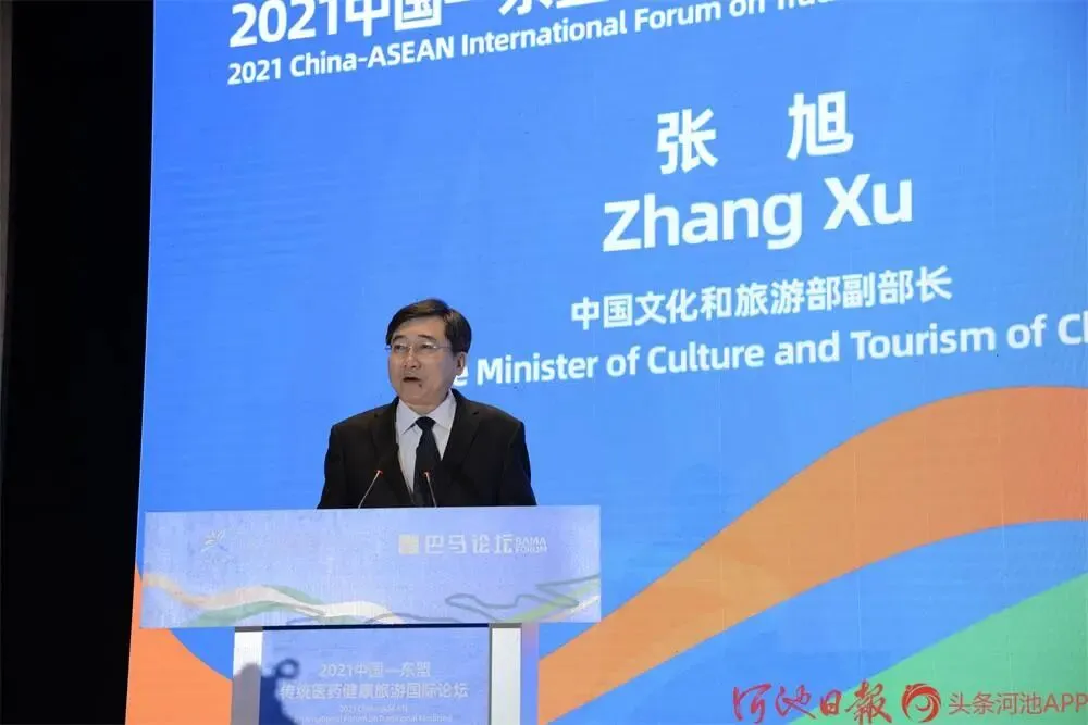 二〇二一中国—东盟传统医药健康旅游国际论坛在巴马成功举办 推动传统医药与健康产业融合发展