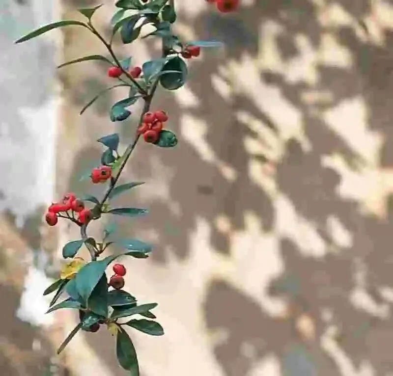 60岁前,一定要去的中国这3个5A景区,去过1个便觉心有山海