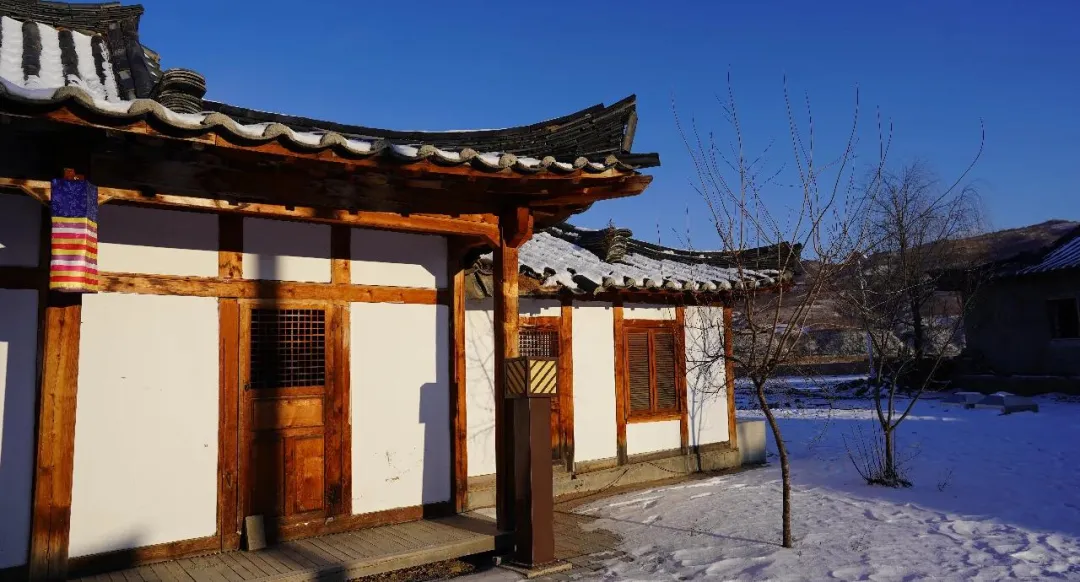 大批俄罗斯人“霸占”吉林延吉街头,打着旅游的幌子,不爬帽儿山不逛民俗园,到底被啥迷住了?