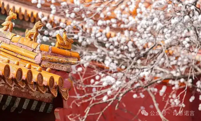 春天旅游去哪里?8个绝美目的地,每一个都不虚此行!