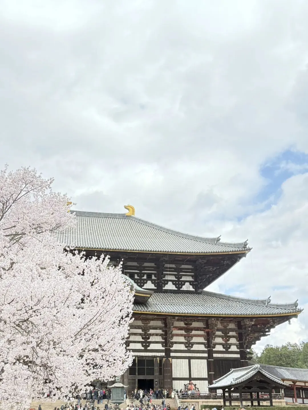 【2026奈良縣自由行】 旅遊景點大介紹