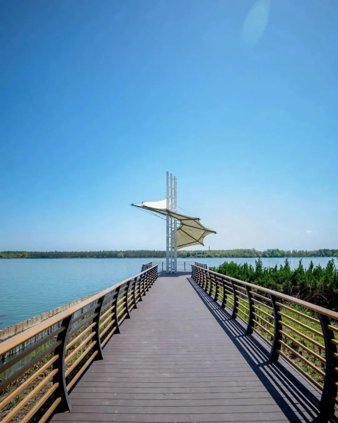 【沪上自然秘境】上海“首个”生态5A级景点走红,自然风光美到窒息,堪称世外桃源,