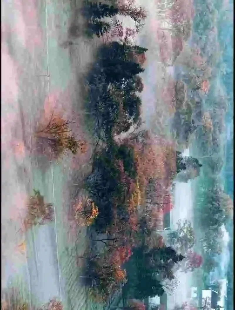 60岁前,一定要去的中国这3个5A景区,去过1个便觉心被照亮