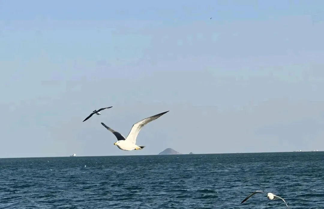 别再瞎拍了!手机也能出大片,旅游拍照零成本变专业,发圈被问爆