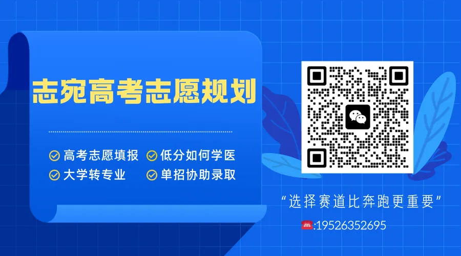 2025单招章程 | 洛阳文化旅游职业学院