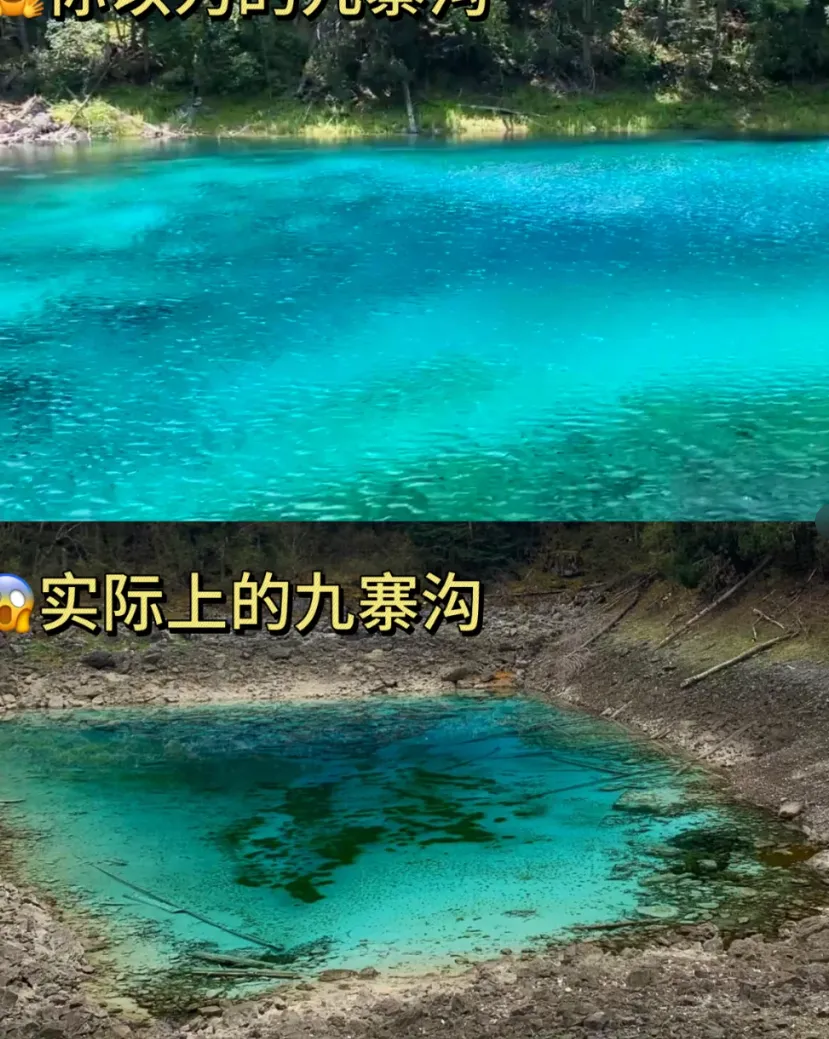 3-5月去九寨沟旅游的姐妹三月确实是个好时候,花儿都开了