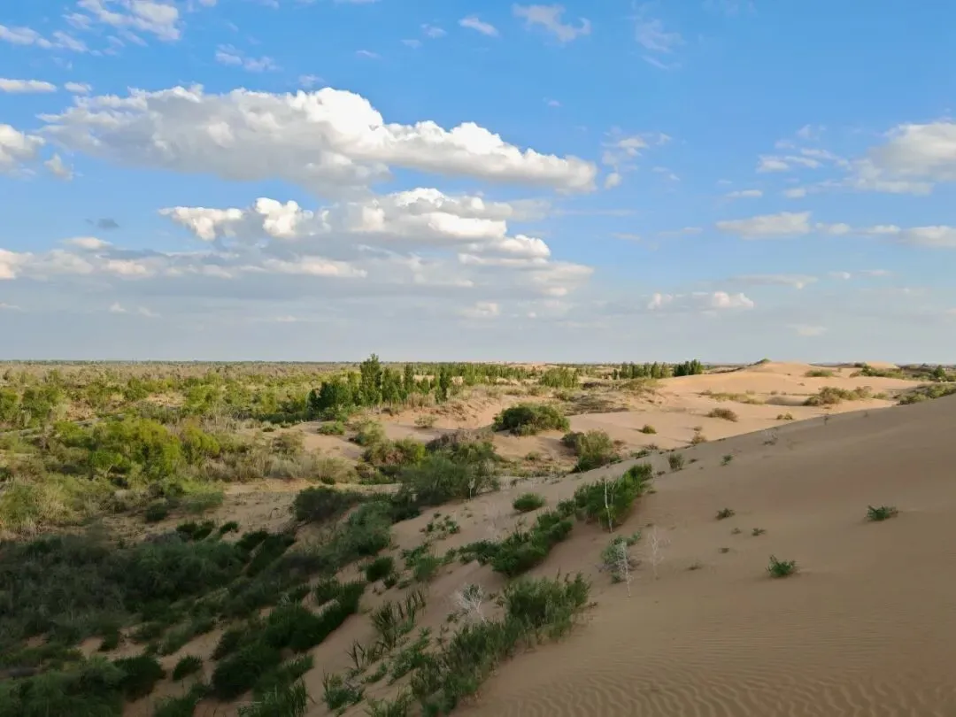 内蒙古鄂尔多斯:把全国景区饭碗砸漏了,是这长达一个月的中国式过年