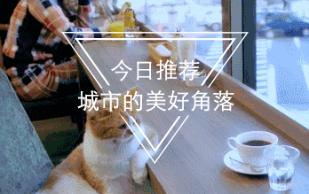 暴走48小时,秘制出小众又省钱的香港旅游攻略