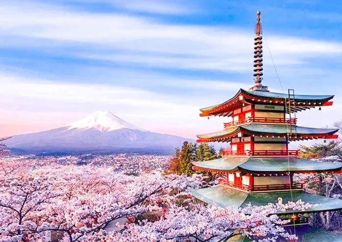 封神!【京都樱花】20 大必去赏樱景点排行榜——一生必看的日本春天绝景