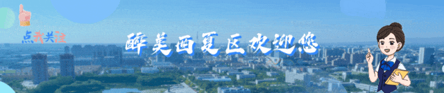 媒体看西夏 | 宁夏日报:西夏陵景区春节假期游客量同比增长931.30%