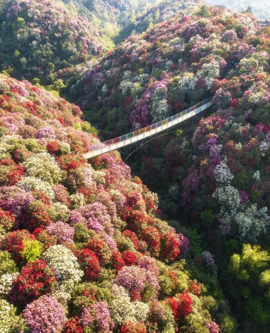 二次进贵(新地标新旅游新玩法)双卧九天