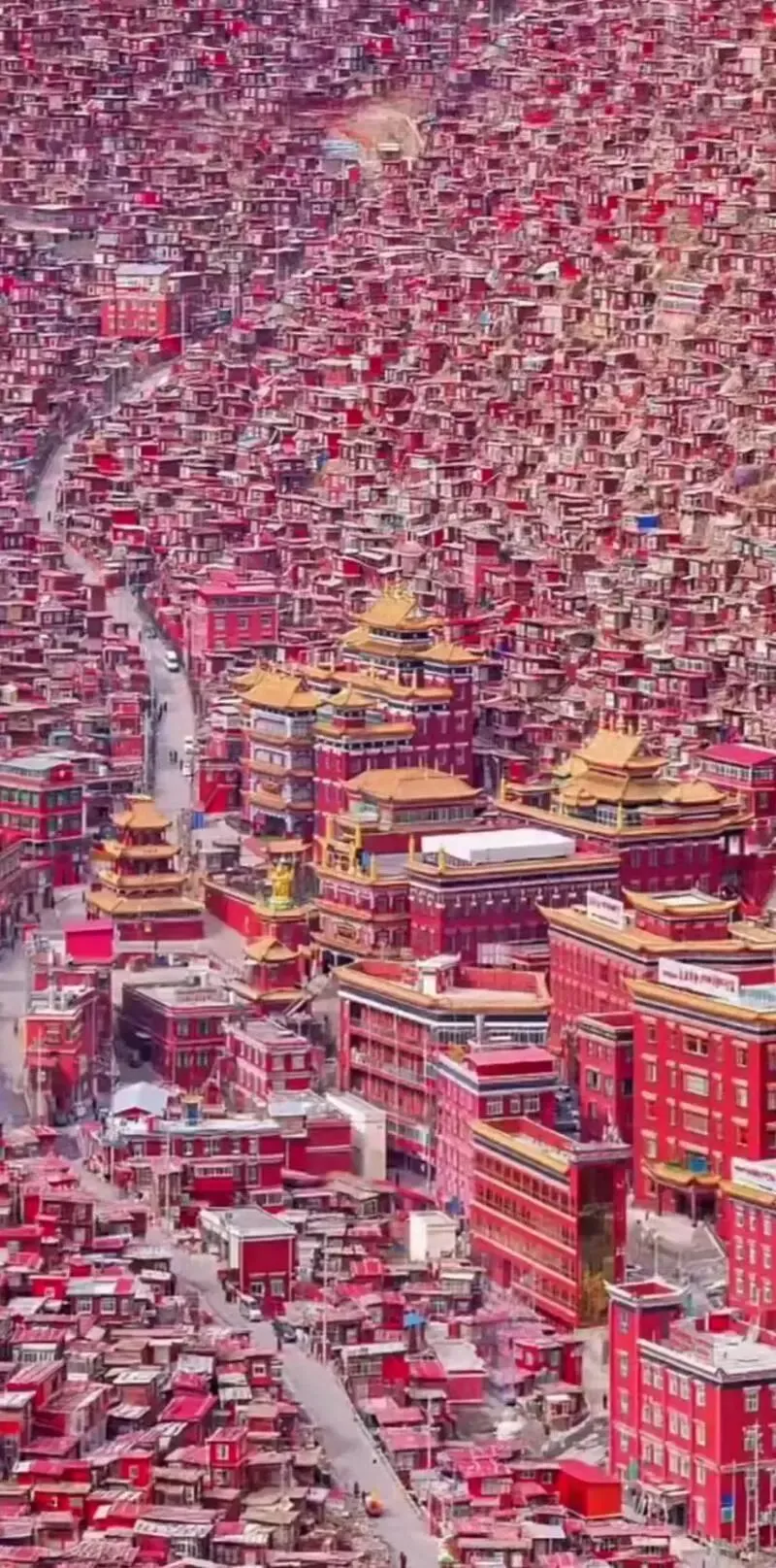 中国景区系列——色达五明佛学院:雪域那烂陀,红色佛国