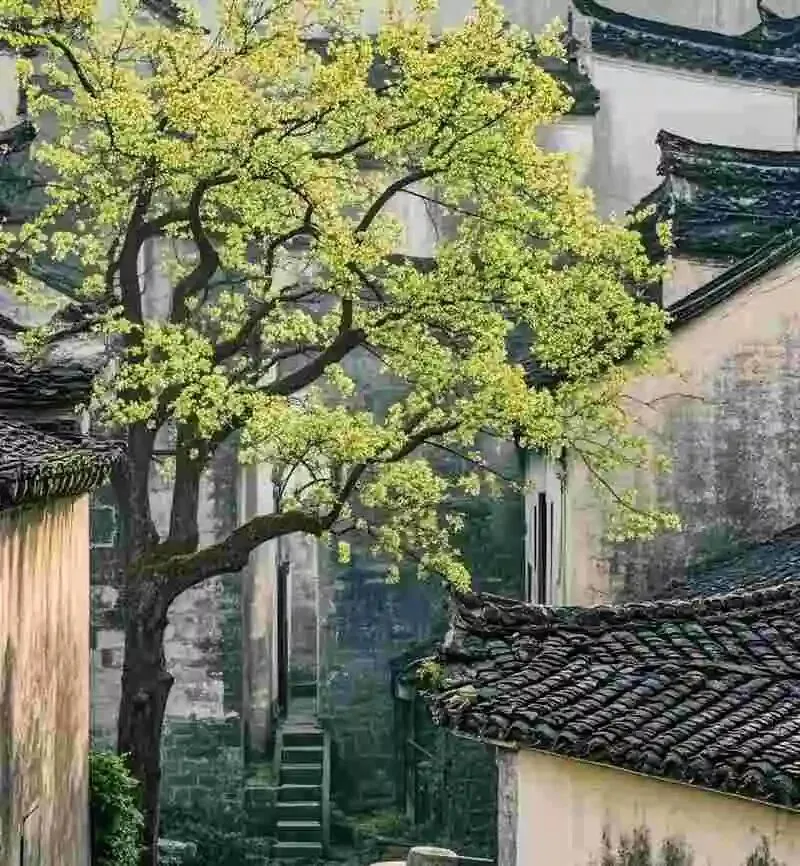 60岁前,这3个中国5A景区一定要去走走,去过1个便觉世界对你更温柔