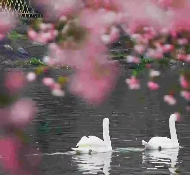 60岁前,值得反复回味的中国这3个5A景区,去过1个就难忘