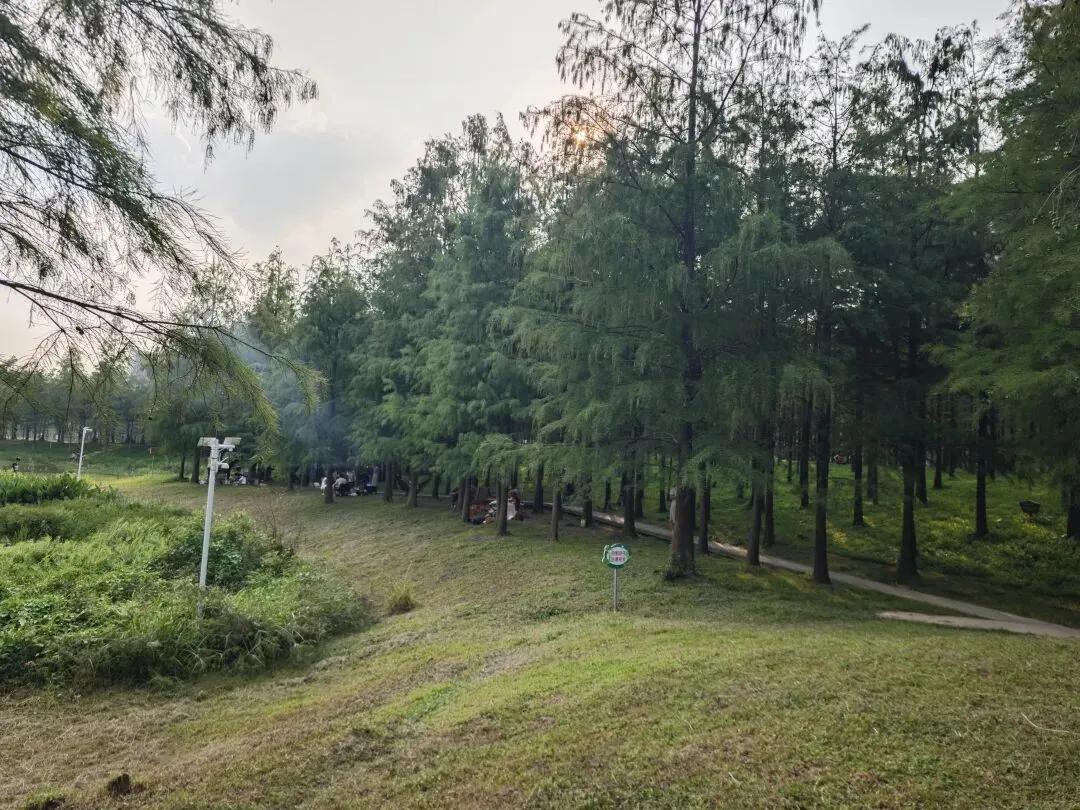 广州免费遛娃遛老公最佳景点,可明火钓鱼捞鱼的天河大观湿地公园,只要不作,没人管你