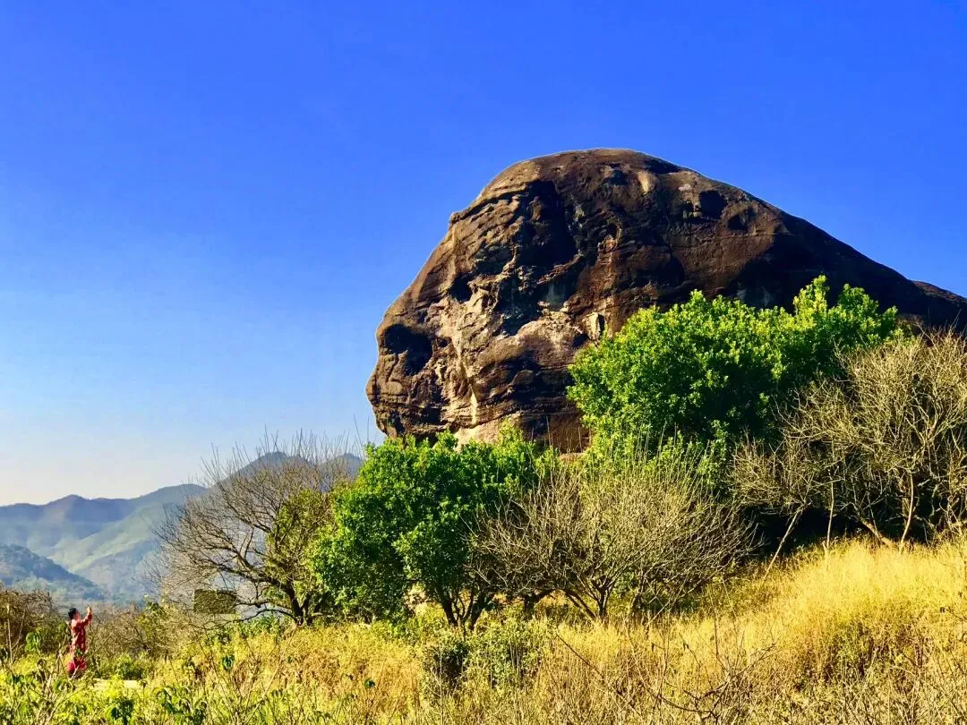 诏安太平元中村古猿人景区:时光褶皱里的生命回响