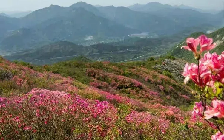 吊桥沟景区招商公告