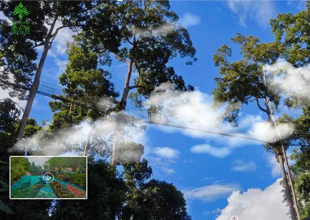 云南西双版纳州勐腊望天树景区——2026年春节