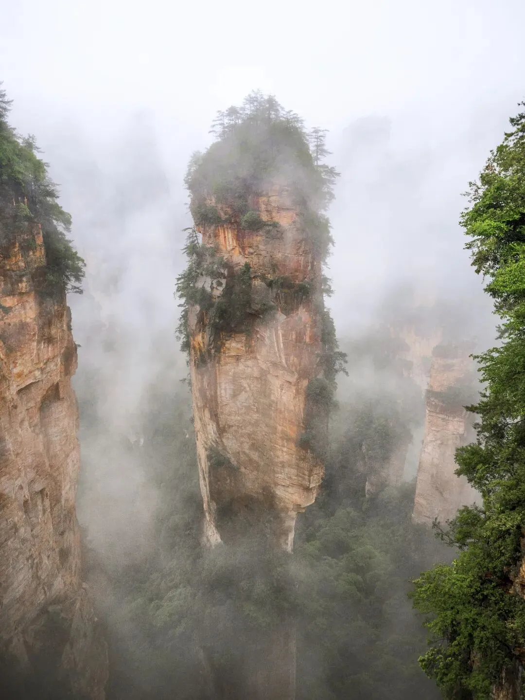绝版张家界,惊艳全世界!赴湘西游王牌景点,住三钻酒店,吃特色湘菜,看千古情表演,全程零自费零购物!