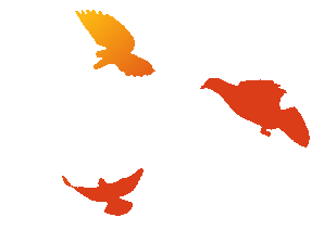 学雷锋,映山红在行动—2026南山景区党支部学雷锋公益活动纪实