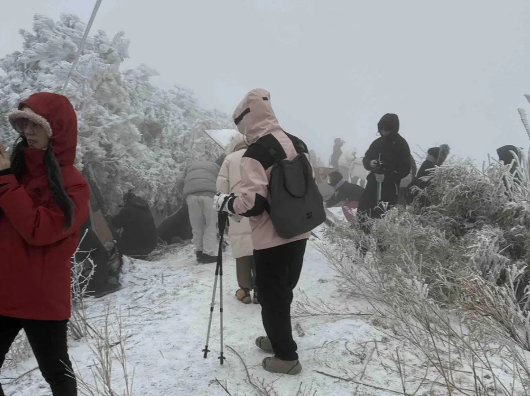 从打卡热到管理难,网红景点如何解困?