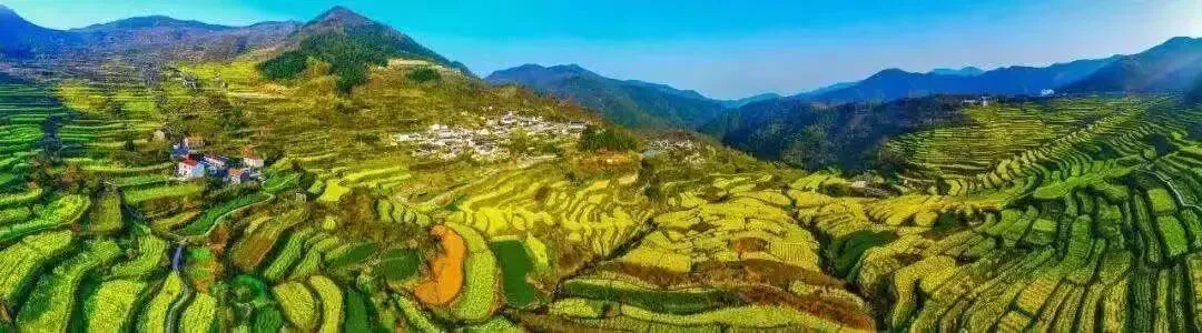 关于试行大中型客车预约进入覆卮山景区的公告