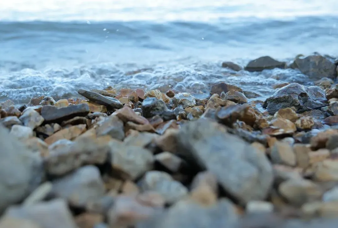 拒绝套路,2026年“三八”妇女节全国景区免票榜,哪家真免一眼便知