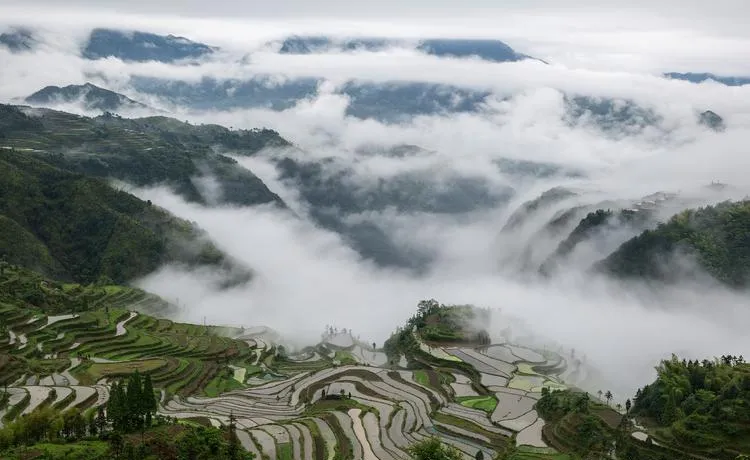 遂昌县十大旅游景点,丽水市一日游精华所在,你来吗?