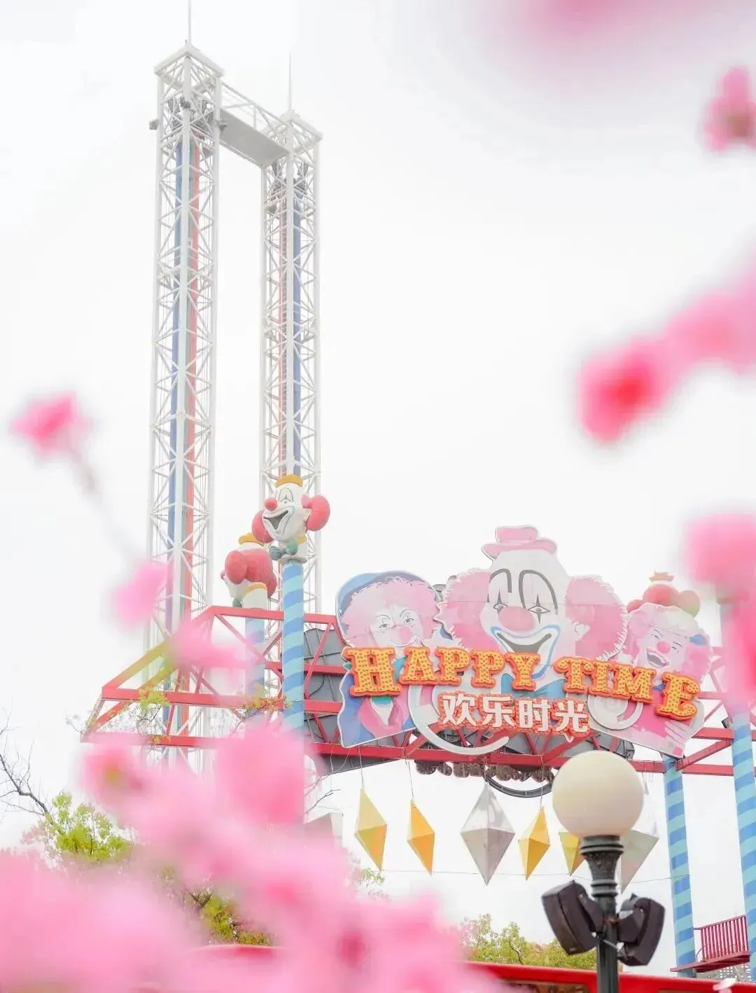 特惠、半价、免票!上海一波景区官宣,送给每一位闪闪发光的你