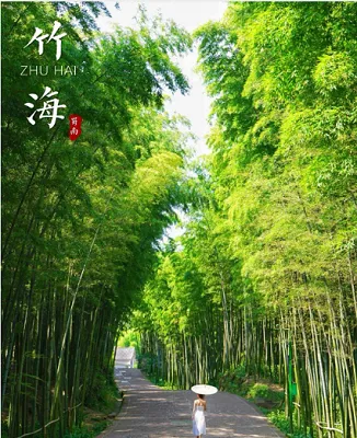 【390元起,0购物0自费,住景区内】蜀南竹海康养旅居5日游