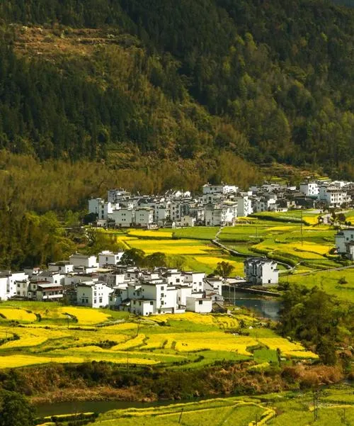 3月踏春,四大惊艳景点推荐,春风和煦花如海!