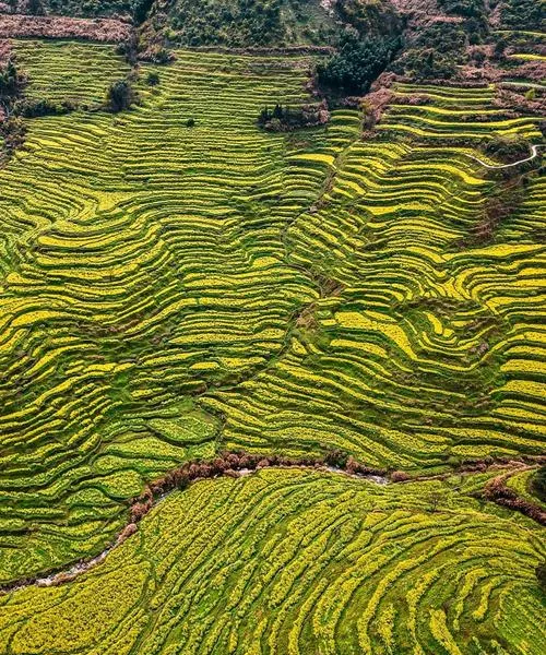 春意盎然3月游,4大景点美到心动!