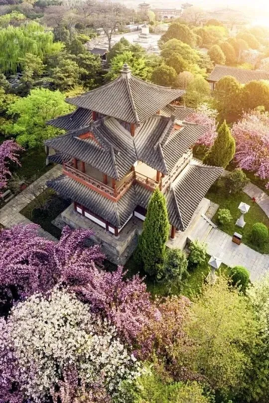 西安的春天?不在那些大名鼎鼎的景点里:8大踏青去处,和一朵花相遇