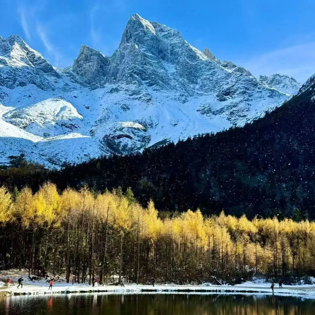 三八女神节,四川成都周边这些景点免票了 丨九寨沟、四姑娘山、毕棚沟、川西竹海...(附免票+预约攻略)