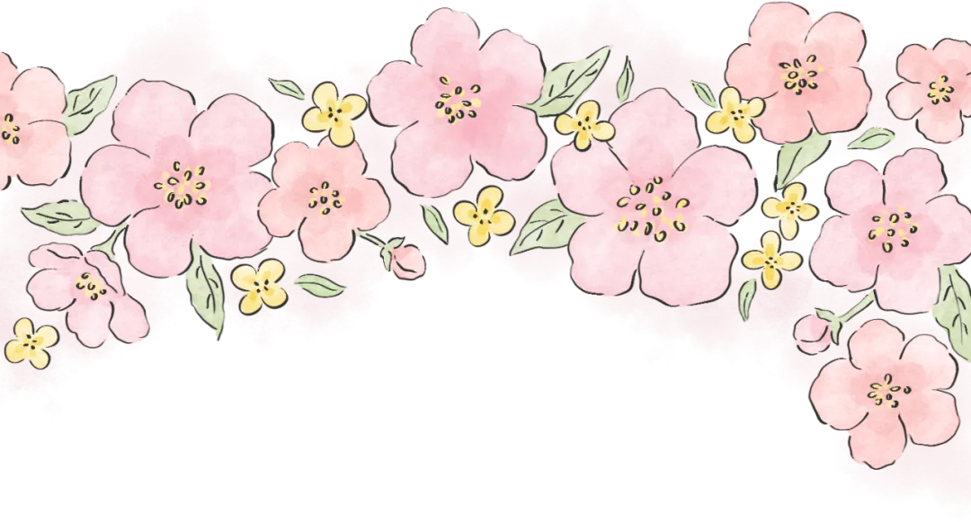 春野拾趣正当时|艾山景区三八妇女节福利上线