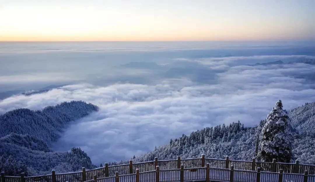 本周末,四川多个景区免票!