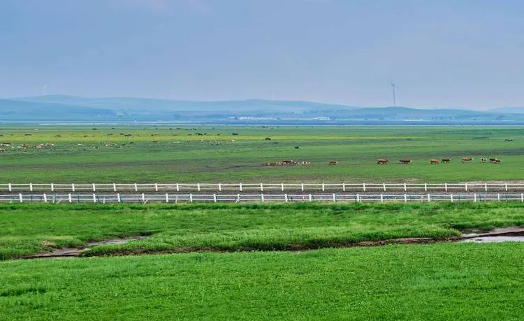 丰宁县十大必去旅游景点,来承德市一日游首选这里!
