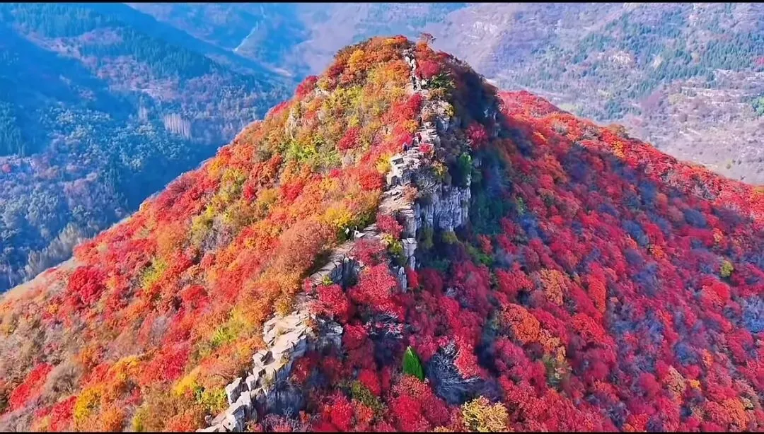 退休旅游别乱去,这几种地方最舒服不累不花冤枉钱,玩得开心又心安