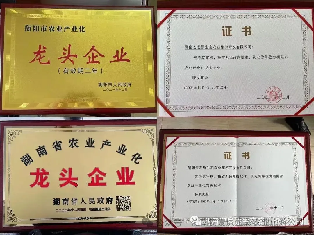 湖南安发原生态农业旅游开发公司2026年03月07日鸡蛋价格