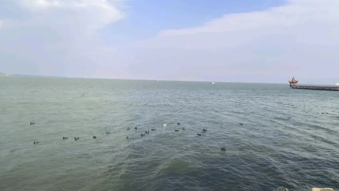 锐评来大理一周的景点(从夯到拉)