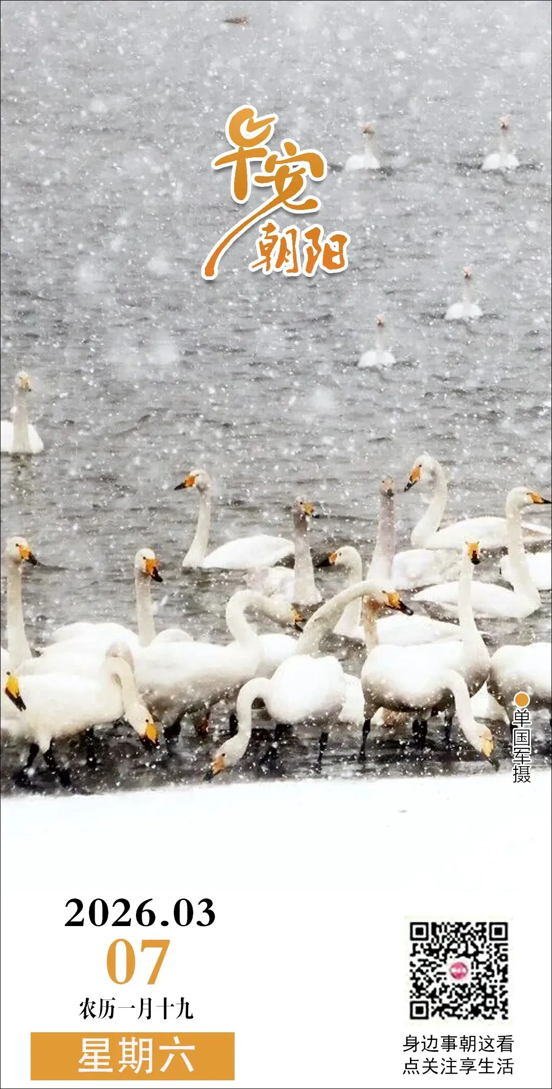 早安朝阳 | 大黑山景区对所有女性游客免门票啦!辽篮官宣!人真是鱼变的吗?