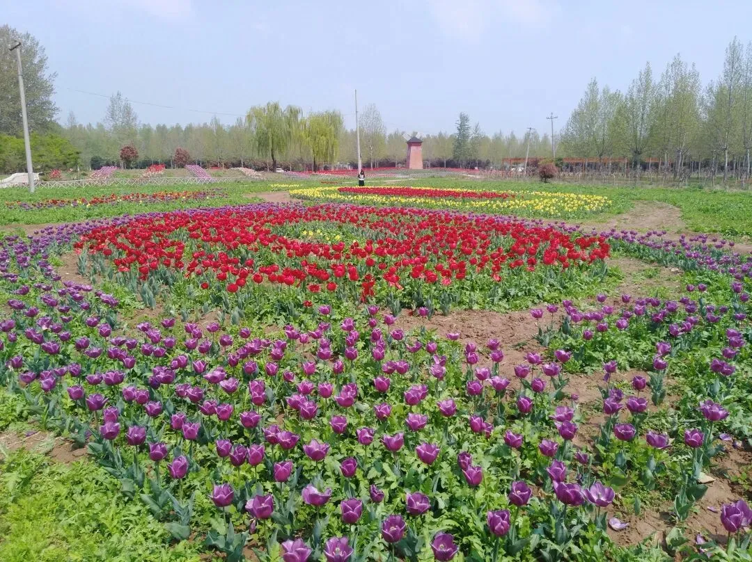 东明县藏着这么多宝藏景点?本地人都未必全去过!