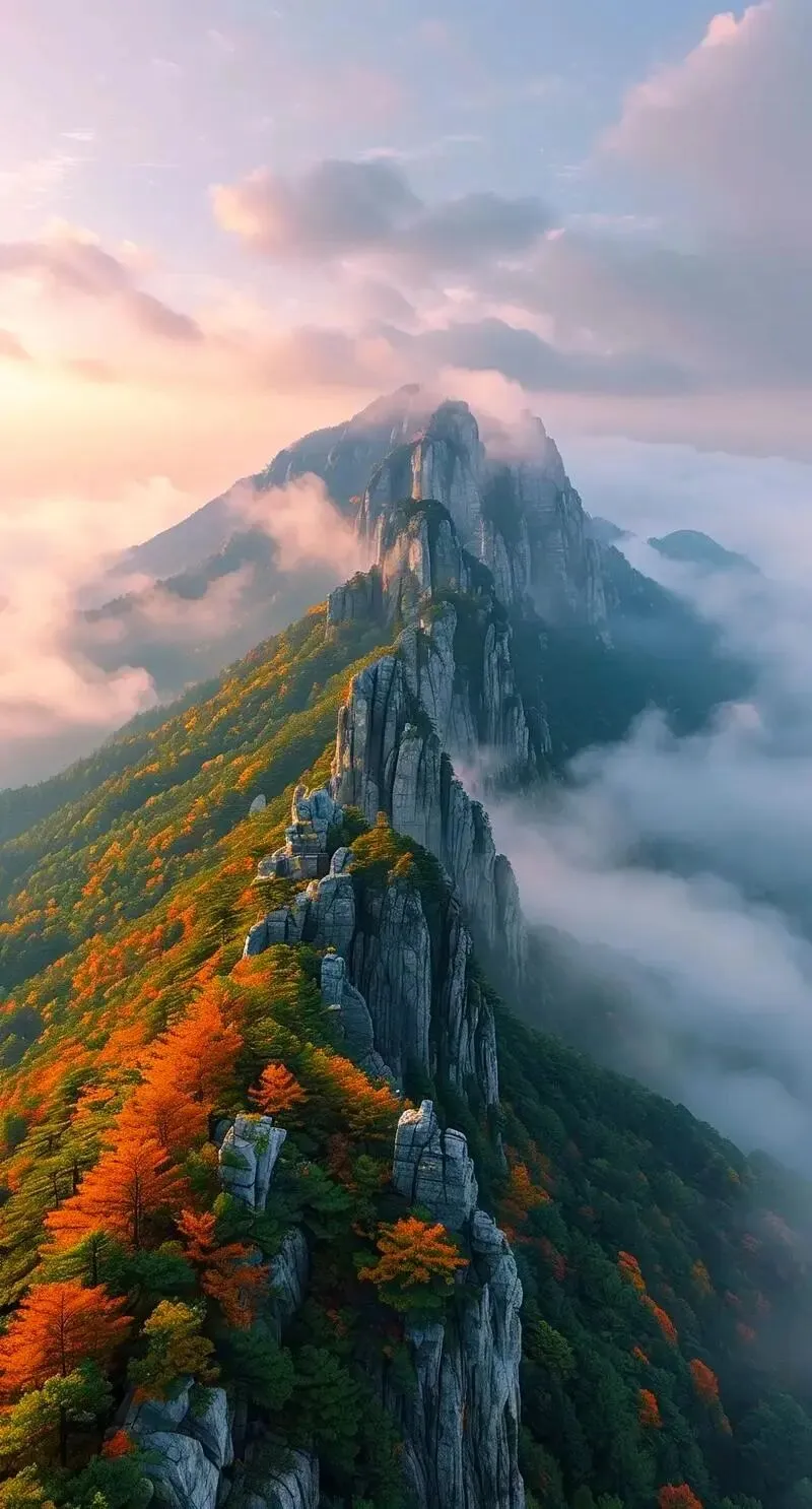 错锋出行刚刚好!多个5A景区三月免费游玩,还有更多三八节女性游客专项礼遇