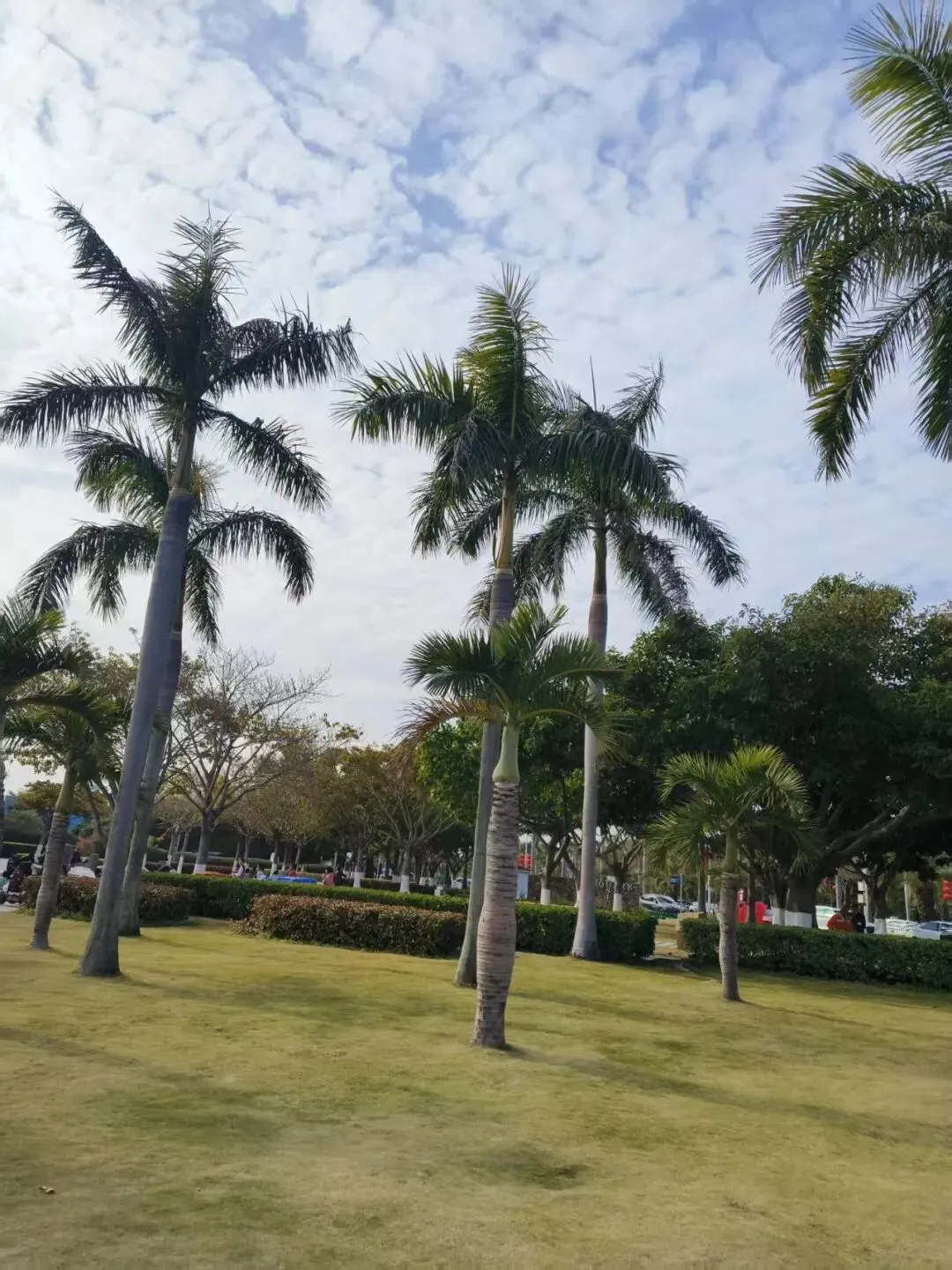 随笔集 | 旅游?度假?