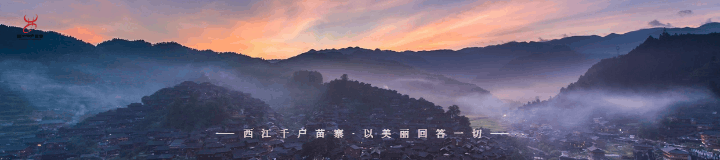 “巾帼风采 卓尔不凡”——西江旅游集团开展“三八”妇女节系列活动