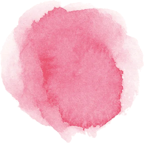 巾帼绽芳华、礼遇暖三月,井冈山景区妇女节系列活动暖心开启