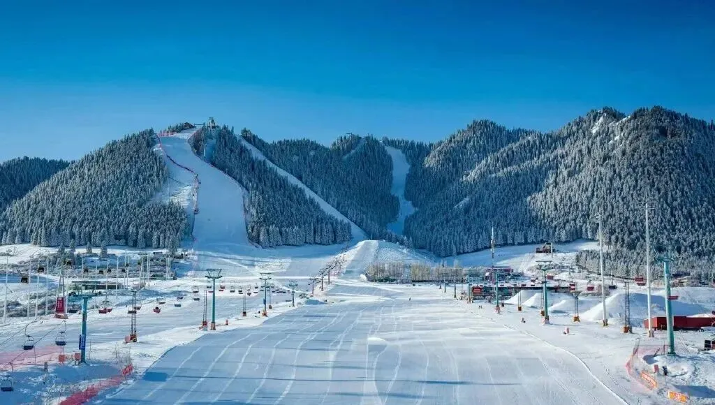 女士专属!三八节这两处景点免费畅玩!!